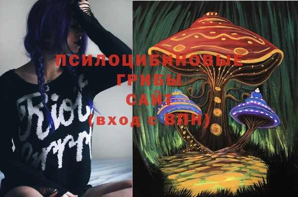 марки nbome Каменка