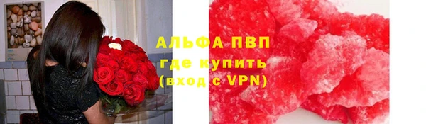стафф Каменногорск