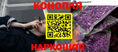 a pvp Моздок