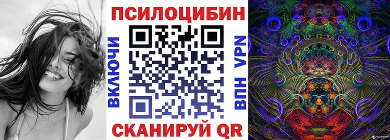 hydra маркетплейс  Рязань  Псилоцибиновые грибы Psilocybe 
